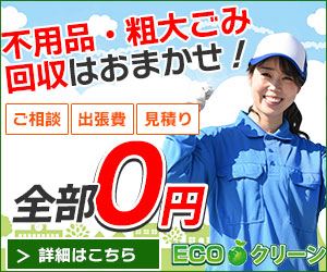 ECOクリーン